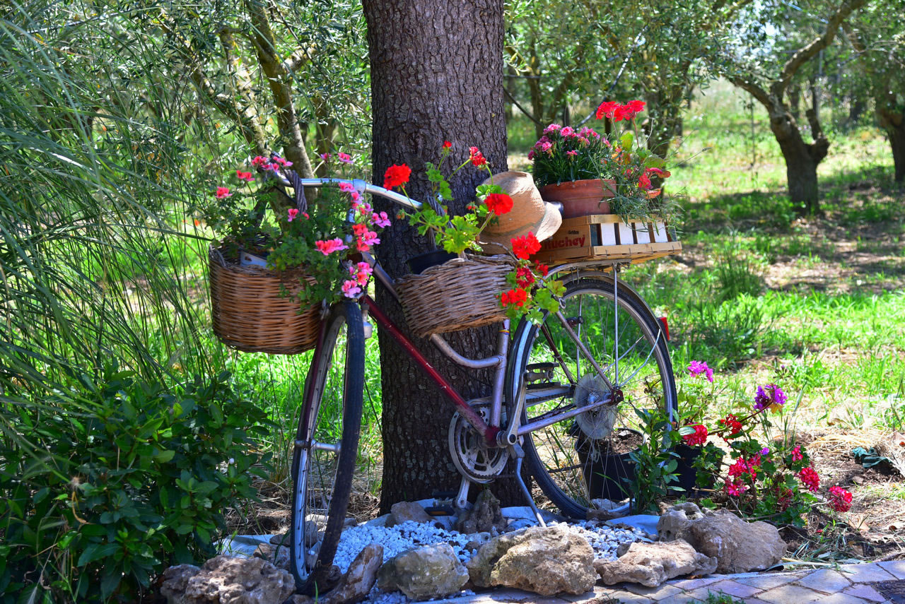 Agriturismo Masseria Prichicca