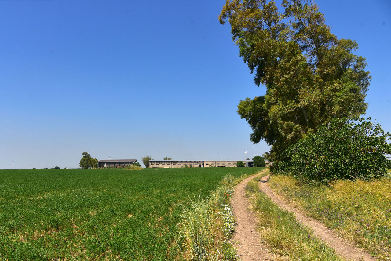 Agriturismo Masseria Prichicca