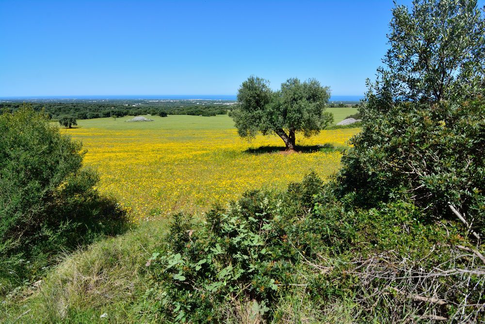 vacanze in puglia