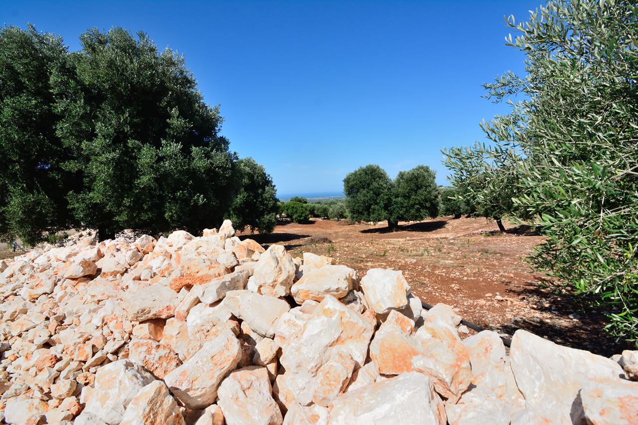 Paesaggi della Valle d’Itria